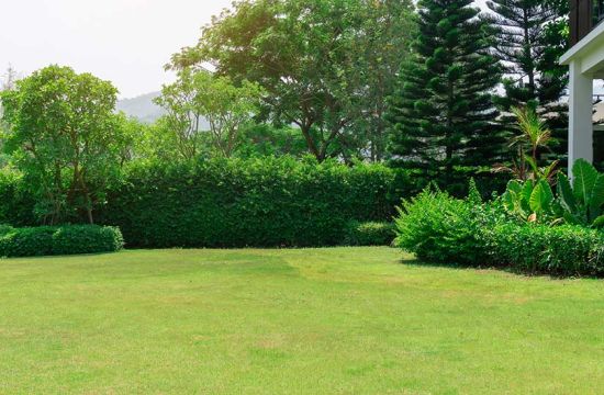 Entretien espace vert